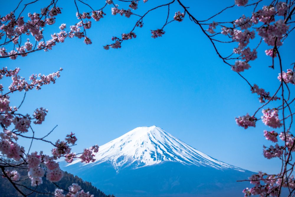 Tall snowy mountain 